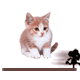 7553_pub.gif