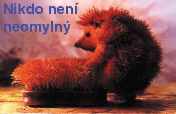 jezkoau5.jpg