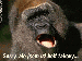 5.30.gif